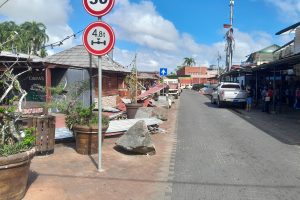 palmentuin waka pasi paramaribo suriname