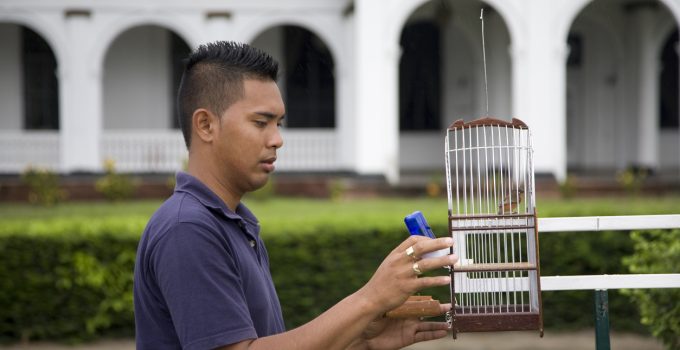 suriname paramaribo man vogel onafhankelijkheidsplein plein