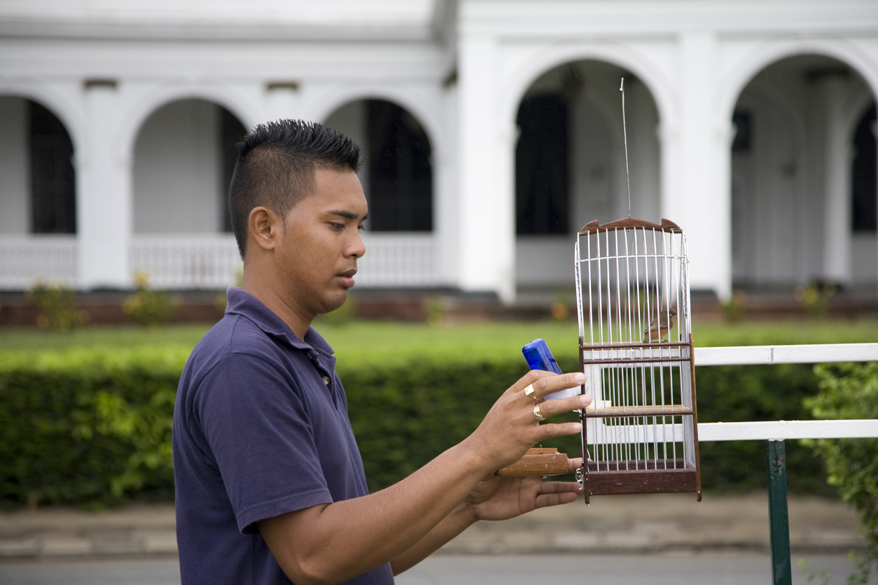 suriname paramaribo man vogel onafhankelijkheidsplein plein