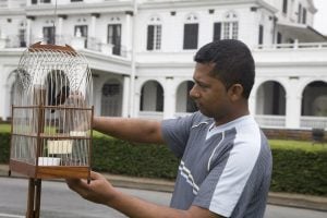 Een leven in Suriname waarin niemand elkaar nog nodig heeft