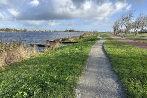 wandelen lopen natuur