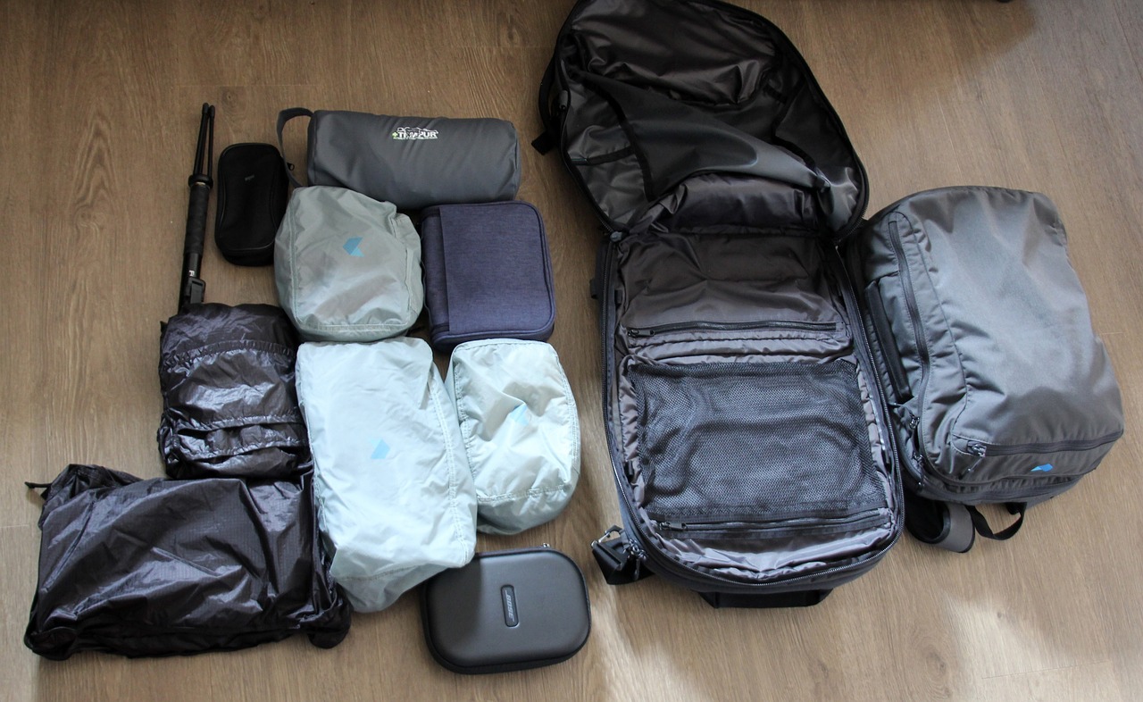 Handbagage bagage koffer reizen