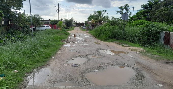 straat onder water gaten suriname weg