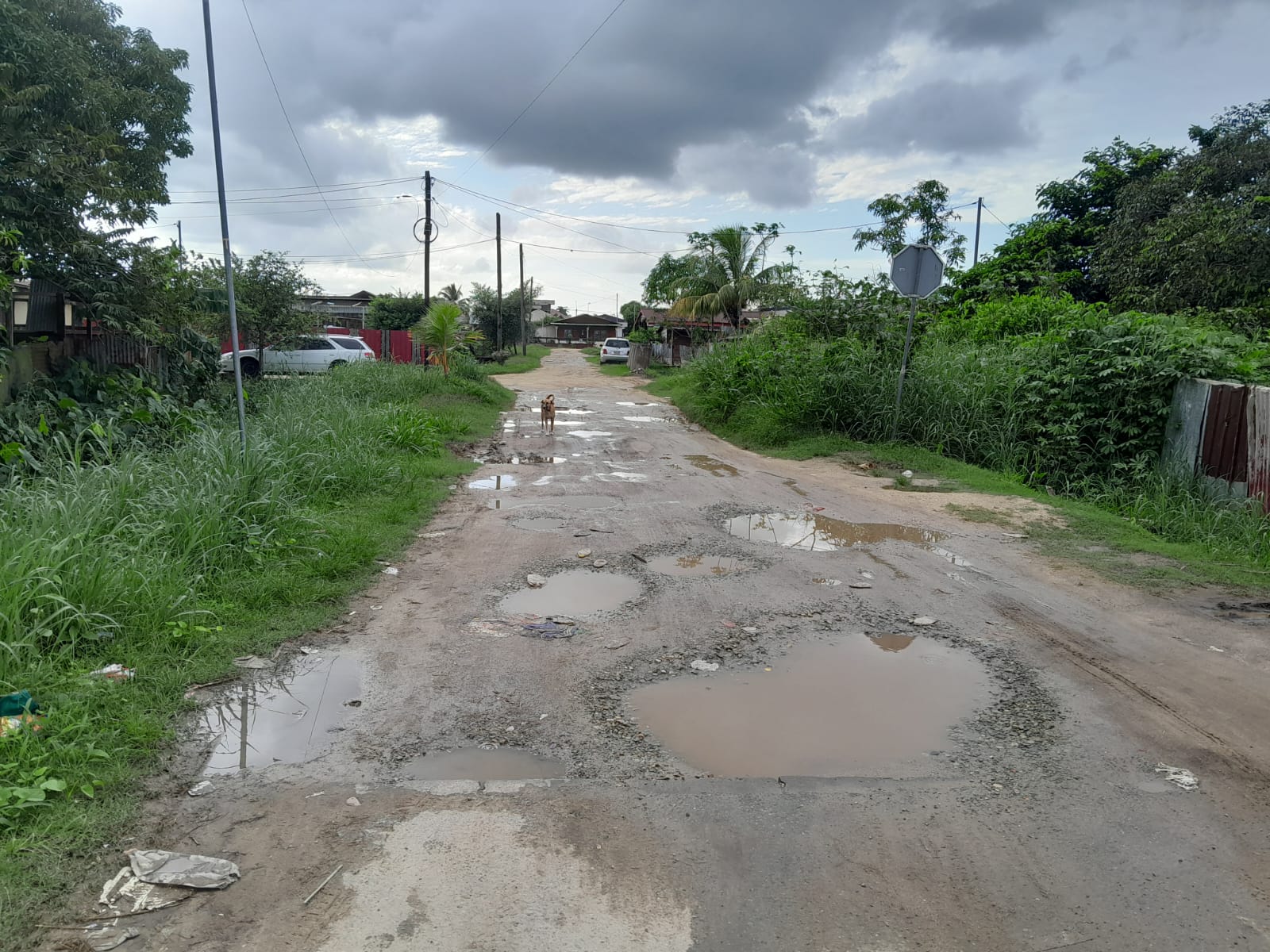 straat onder water gaten suriname weg