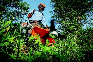 Haast niemand wil nog werken in Suriname, zelfs geen tuinman of schoonmaakster te vinden