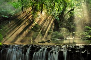 waterval natuur regenwoud suriname