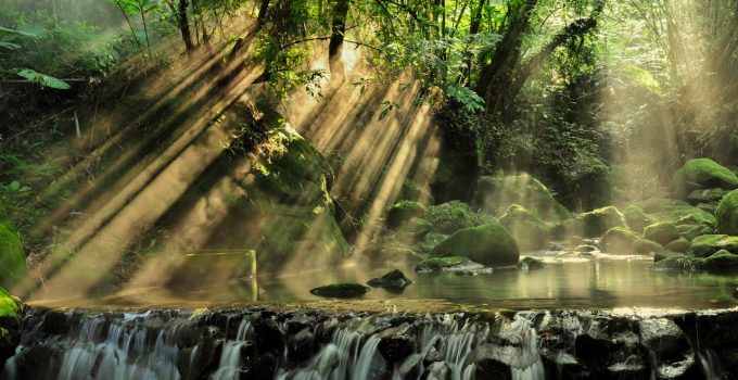 waterval natuur regenwoud suriname